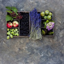 5 Large Photography Backdrops