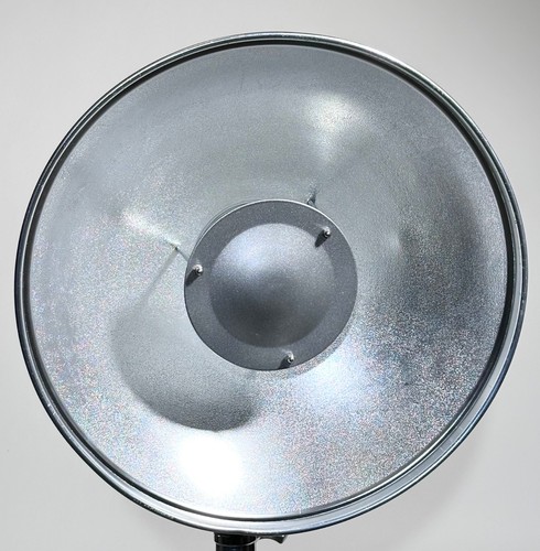 Silver interior beauty dish - beauty,