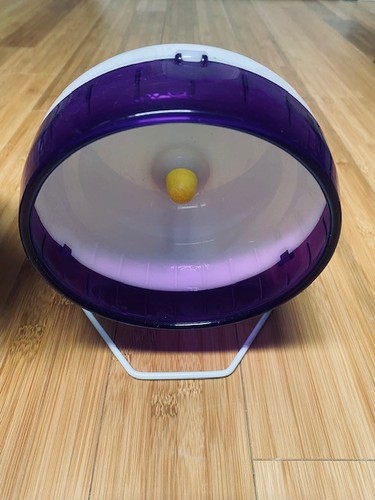 Used kaytee silent - silent, spinner