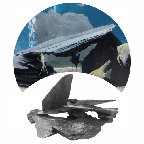 Aquarium slate fish - slate,
