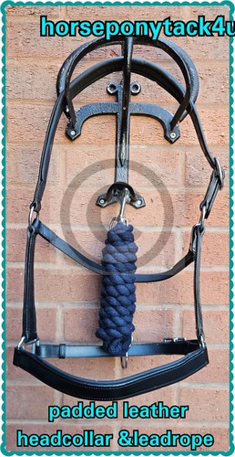 Free leadrope worth - free,