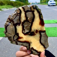 340G Natural Madagascar septarium stone slab crystal polished mineral
