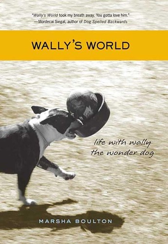 Wally world life with - world:,