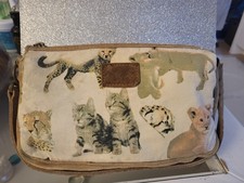 Dolce and Gabbana Classic cat