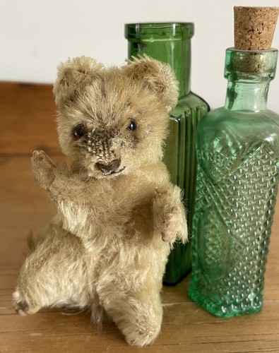 Antique vintage steiff raccy - antique,