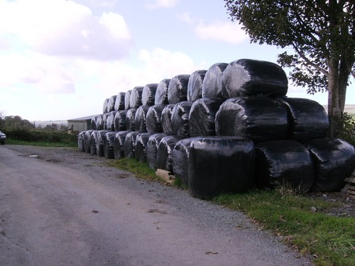 Photo silage bales - silage,