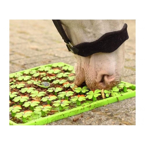 Snuffle treat mat for horse - snuffle,