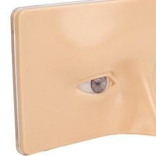 Eye Makeup Practice Board Open