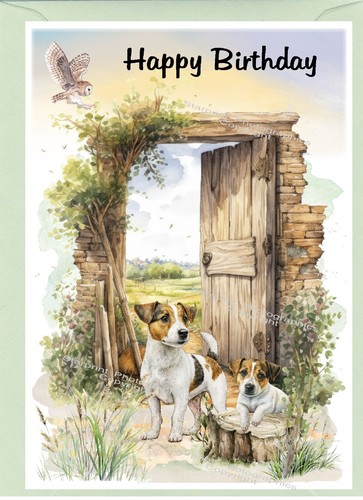 Jack russell terrier dog - terrier,