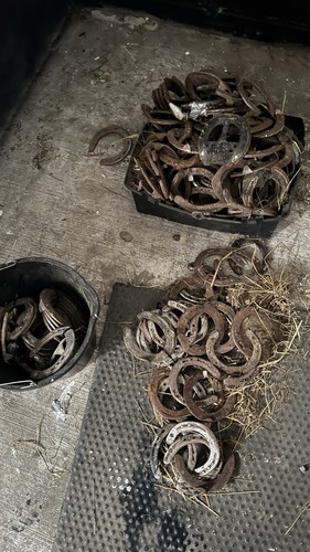Real horse shoes used - horse, lucky