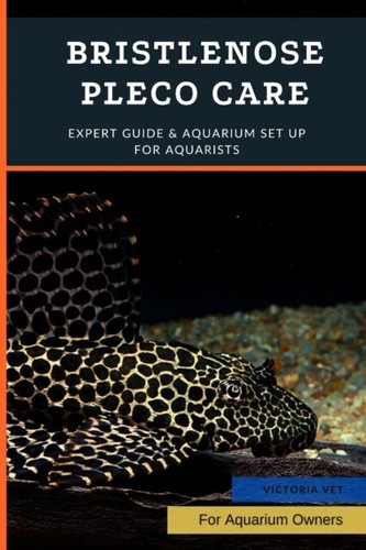 Vet bristlenose pleco - -,