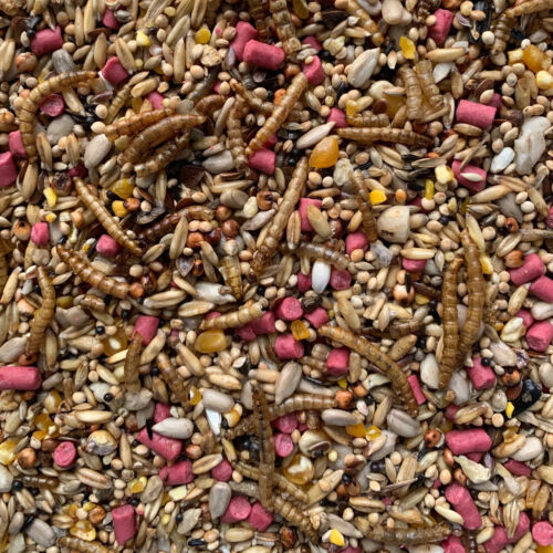 Wild bird seed mix gourmet - mix,