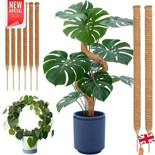 100cm moss pole - 30-100cm,