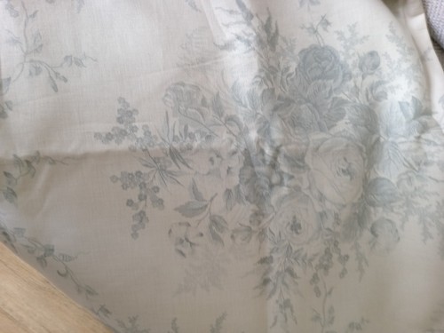 Kate forman blue - forman, roses