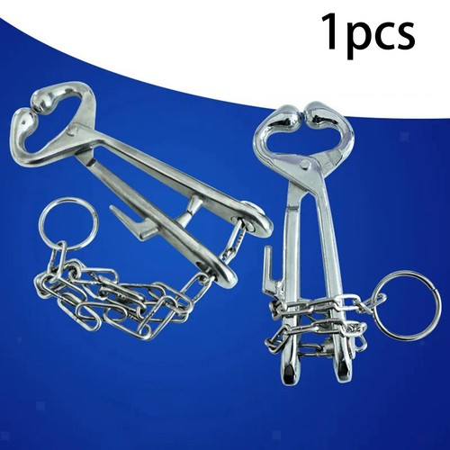 Cattle nose rings - nose,