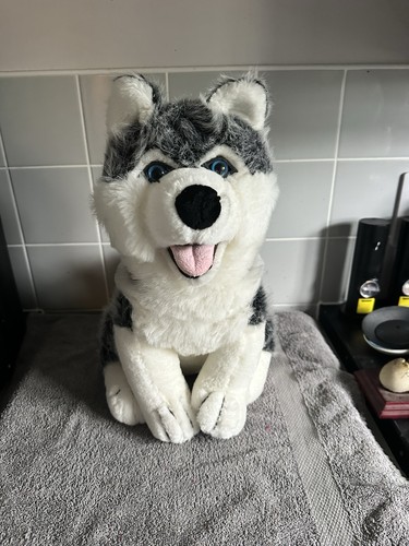 Husky dog cuddles - cuddles, soft