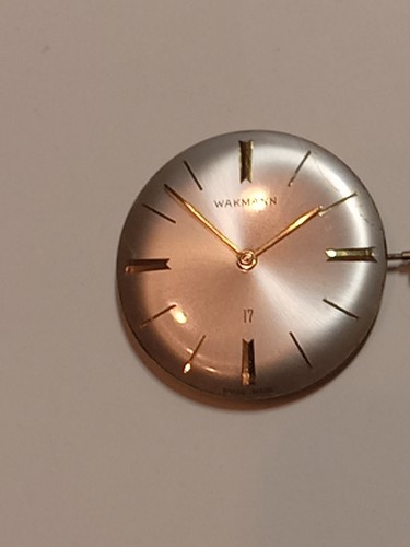 Wakmann watch movement - wakmann,