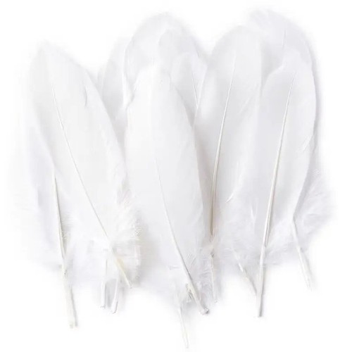 Wholesale 50pcs quality goose - 50pcs,