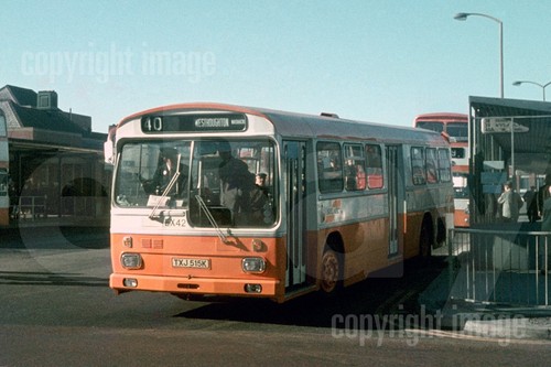 Bus photo selnec - bus,