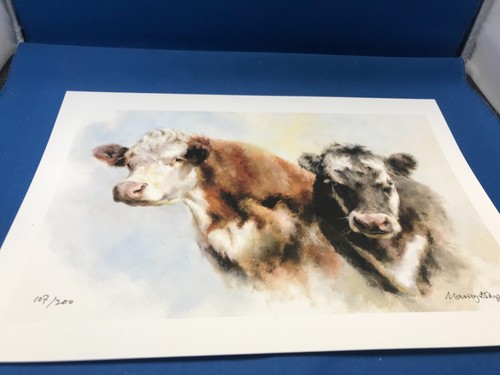 Mandy shepherd limited - mandy,