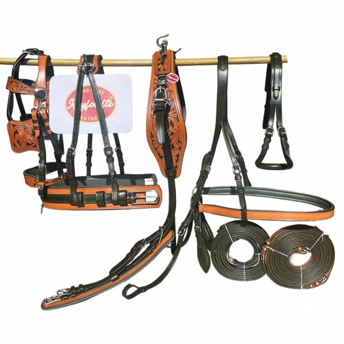 Premium dual tone - premium,