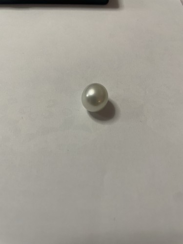 13ct south sea - 13ct,