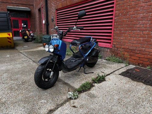 Honda zoomer - honda,