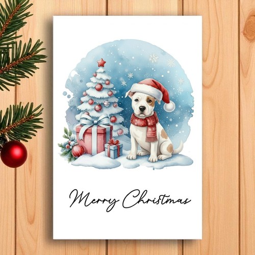 Staffordshire bull terrier - bull,