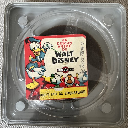 Disney goofy fair - goofy,