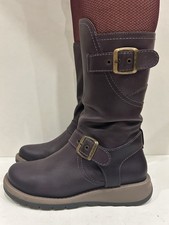 Gorgeous Moshulu Nightjar