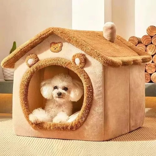 Pet cat kitten dog - pet, igloo