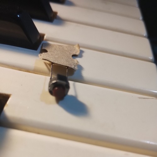 Roland jp8000 tact - tact, switch