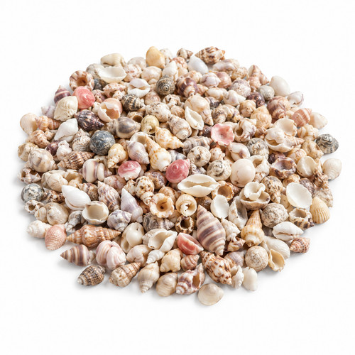 Tiny craft shells - 25g, bag
