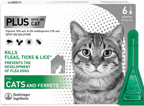 Flea lice tick - flea,
