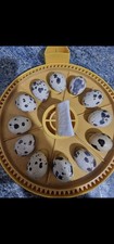 Coturnix Quail Eggs, Mixed