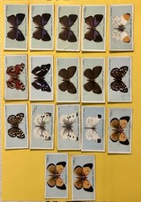 (A 53/2) WILLS’ “British