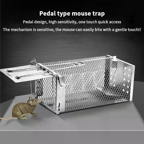 Rat trap squirrel door - trap,