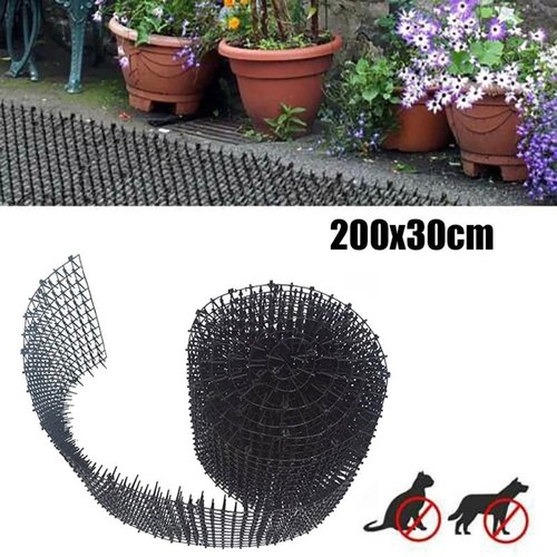 Cat scat mat - mat, spike