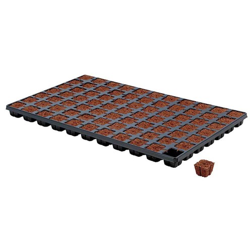Eazy plug organic propagation - organic,