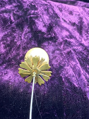 Fabulous antique hat pin - ,