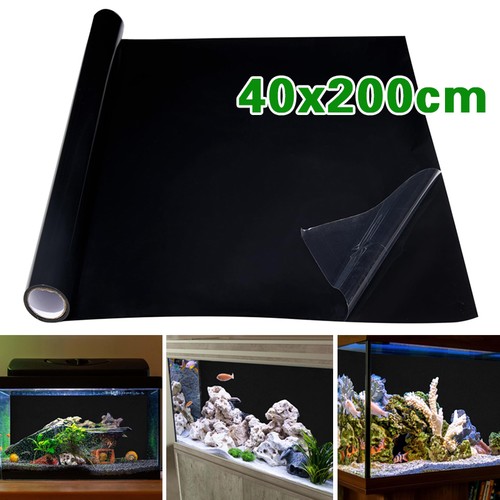 2pcs diy self - diy, fish