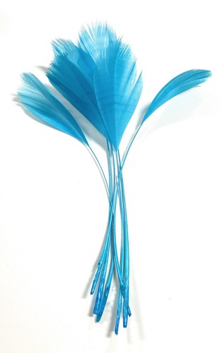 Long fascinators feathers - long,