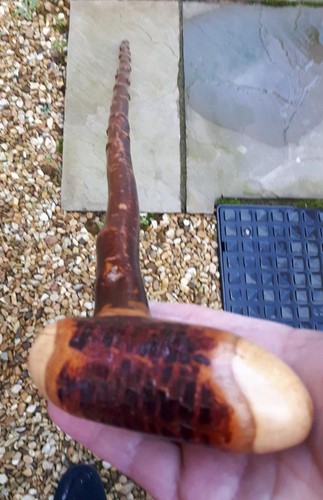Blackthorn walking stick - walking,