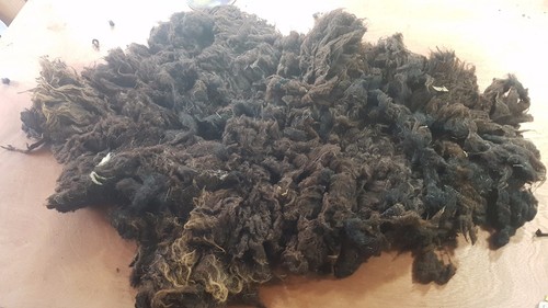 7kg raw sheep - 0.7kg,