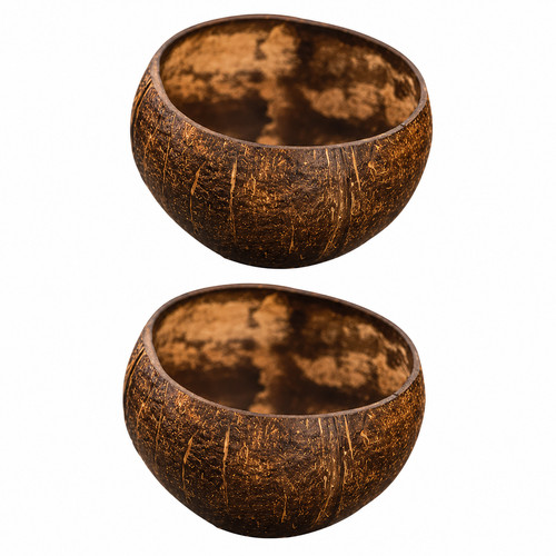 Natural coconut shell - coconut,