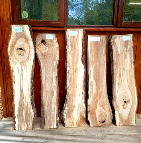 English oak air - air, dried