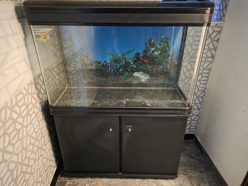 Boyu 100l glass freshwater - boyu,