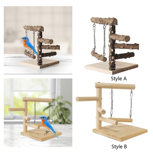 Parrot playground bird - parrot,