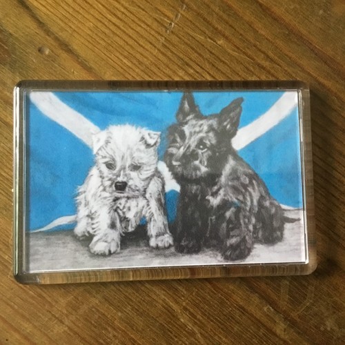 Scottish pups scottie - scottish,