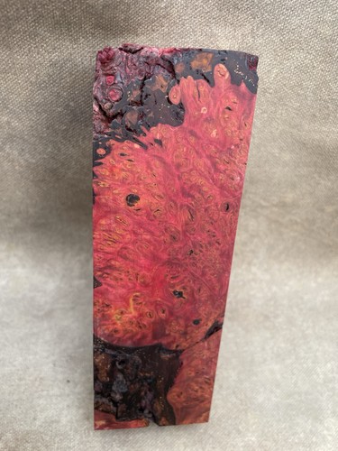 Stabilised wood maple burr - stabilised,